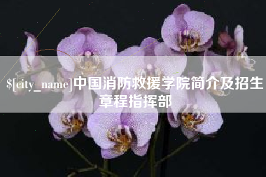 海北中国消防救援学院简介及招生章程指挥部