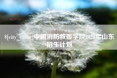 海北中国消防救援学院2021年山东招生计划