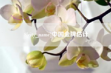 海北中国金牌估计