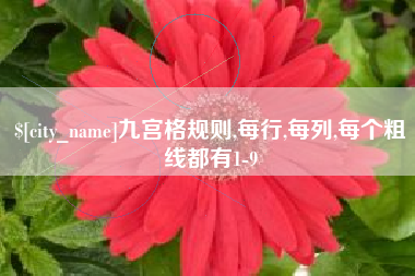 海北九宫格规则,每行,每列,每个粗线都有1-9