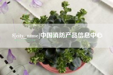 海北中国消防产品信息中心