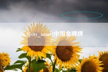 海北中国金牌牌