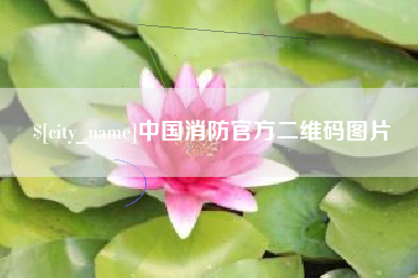 海北中国消防官方二维码图片