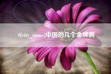 海北中国的几个金牌啊