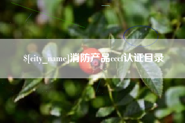 海北消防产品cccf认证目录