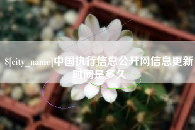 海北中国执行信息公开网信息更新时间是多久