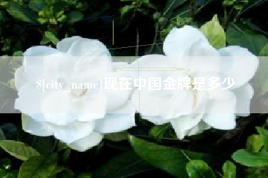 海北现在中国金牌是多少