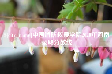 海北中国消防救援学院2020年河南录取分数线