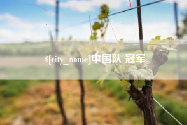 海北中国队 冠军