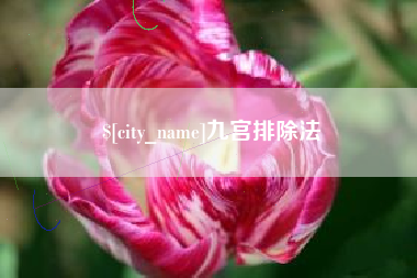 海北九宫排除法