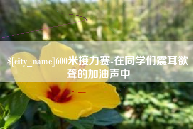 海北600米接力赛-在同学们震耳欲聋的加油声中