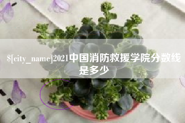 海北2021中国消防救援学院分数线是多少