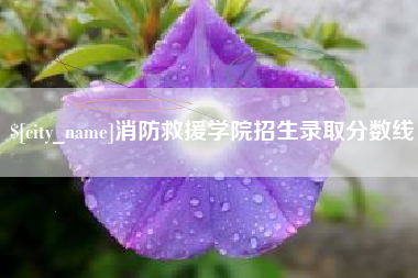 海北消防救援学院招生录取分数线
