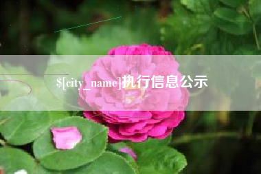 海北执行信息公示