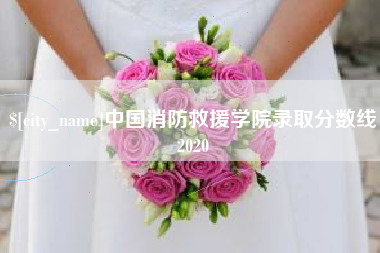 海北中国消防救援学院录取分数线2020