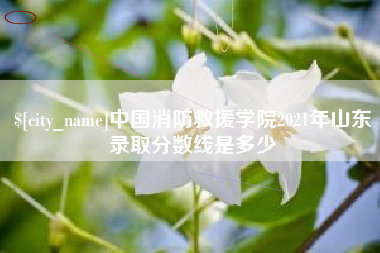 海北中国消防救援学院2021年山东录取分数线是多少