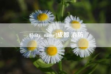 海北成都 消防