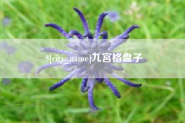 海北九宫格盘子