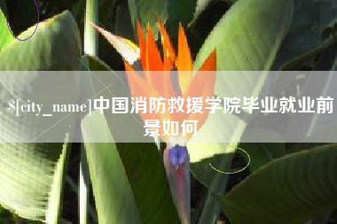 海北中国消防救援学院毕业就业前景如何
