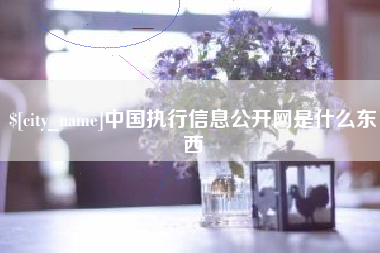 海北中国执行信息公开网是什么东西