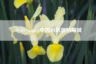 海北中国消防器材商城