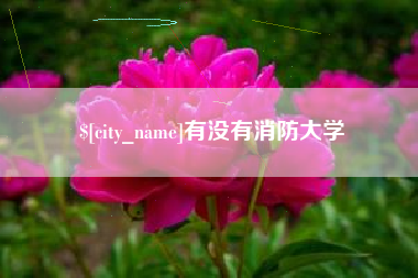 海北有没有消防大学