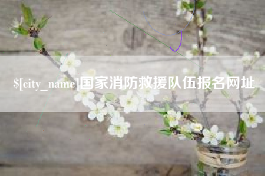 海北国家消防救援队伍报名网址