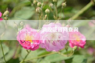 海北消控证官网查询