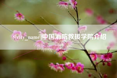 海北中国消防救援学院介绍