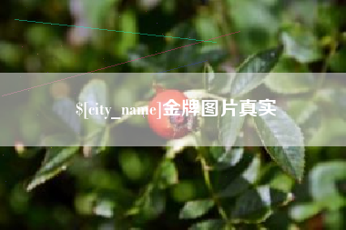 海北金牌图片真实