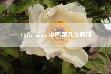 海北中国第九金回放