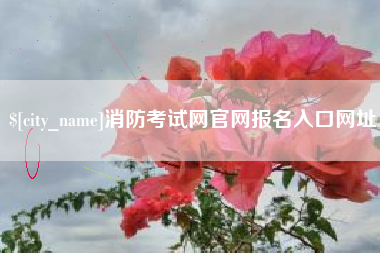 海北消防考试网官网报名入口网址