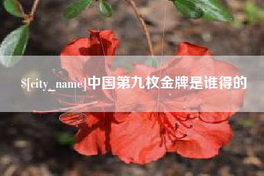 海北中国第九枚金牌是谁得的