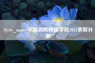 海北中国消防救援学院2021录取分数