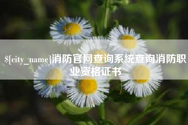 海北消防官网查询系统查询消防职业资格证书