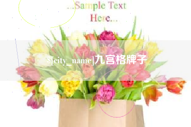 海北九宫格牌子