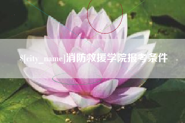 海北消防救援学院报考条件