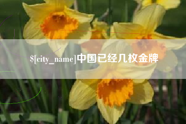 海北中国已经几枚金牌