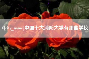 海北中国十大消防大学有哪些学校