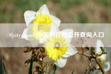 海北中国执行网公开查询入口