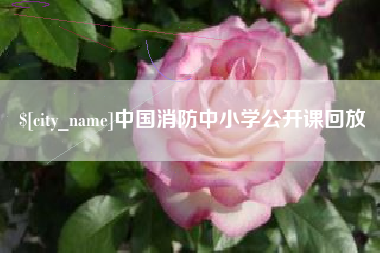 海北中国消防中小学公开课回放