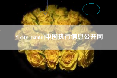 海北中国执行信息公开网