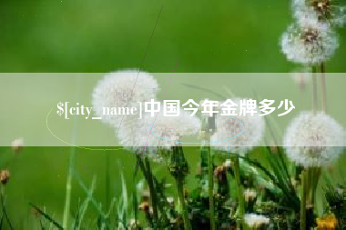 海北中国今年金牌多少