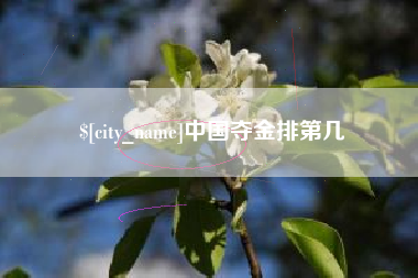 海北中国夺金排第几