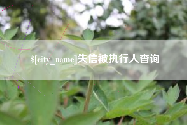 海北失信被执行人杳询