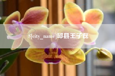 海北邱县王子磊