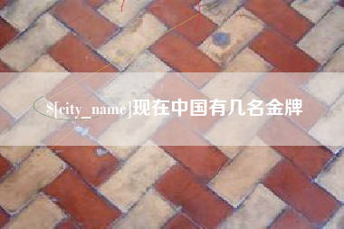 海北现在中国有几名金牌