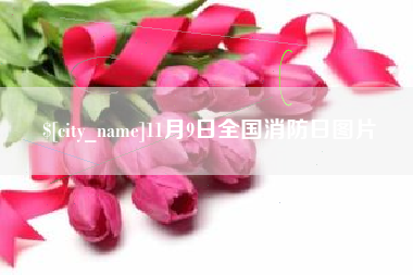 海北11月9日全国消防日图片