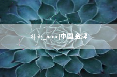 海北中国,金牌