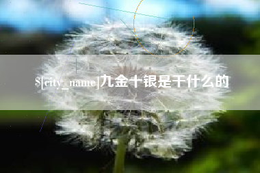 海北九金十银是干什么的